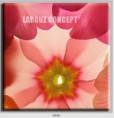 /album/photo-gallery-canvas-uri/decoratiuni-de-perete-canvas-lc-0680-jpg/